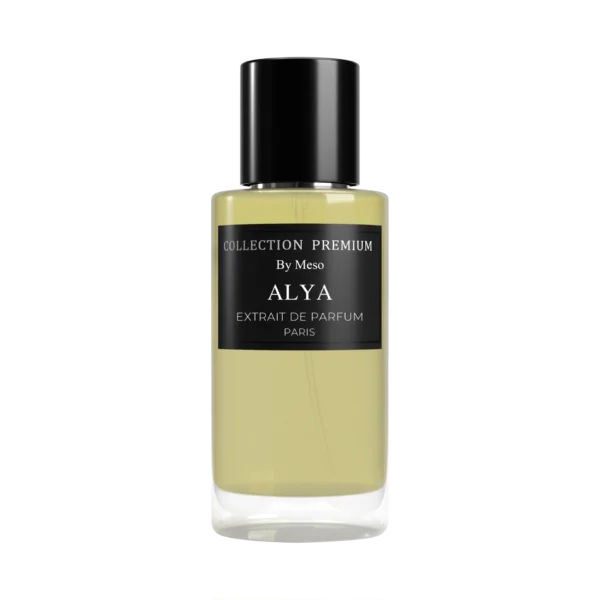 Alya 50ml - Inspired By So Oud